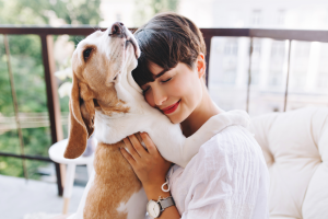 NYC Pet Laws